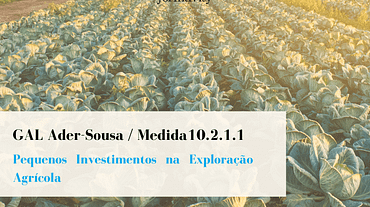 GAL Ader Sousa _ Medida 10.2.1.1