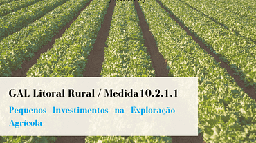 GAL Litoral Rural _ Medida 10.2.1.1-min