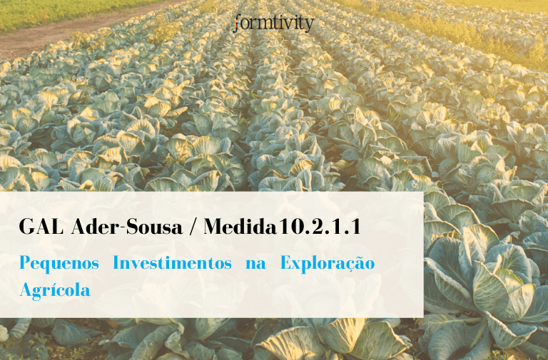 GAL Ader Sousa _ Medida 10.2.1.1